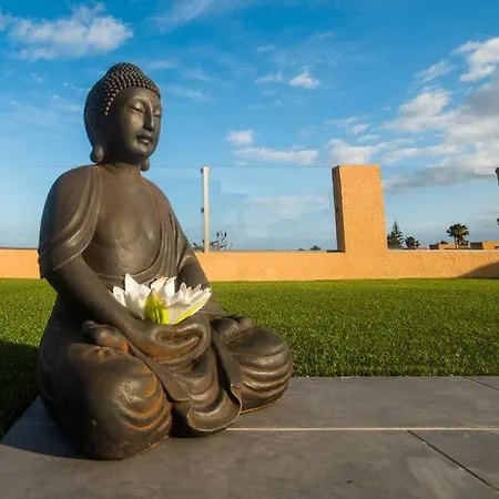 Kelu Costa De Antigua